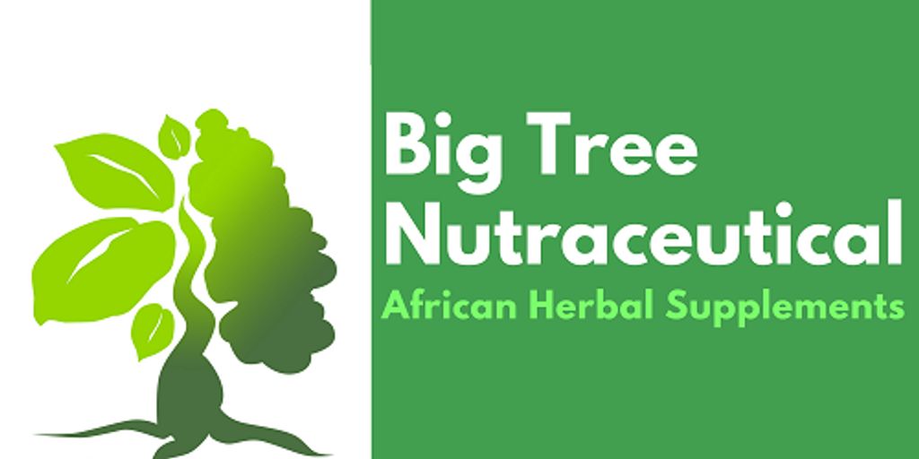 Big Tree Cover Image